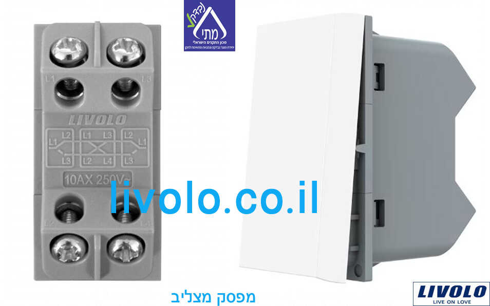 תמונת המוצר